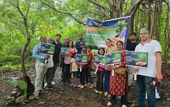 treeplantation