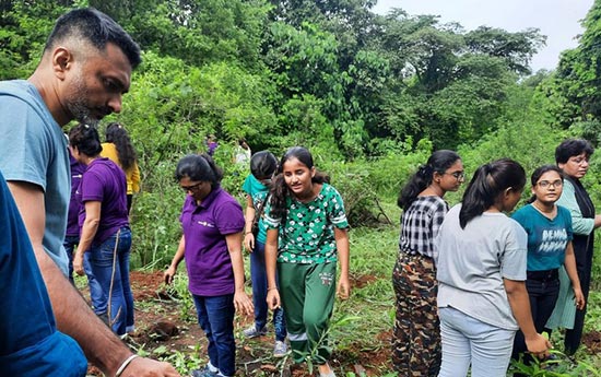 treeplantation